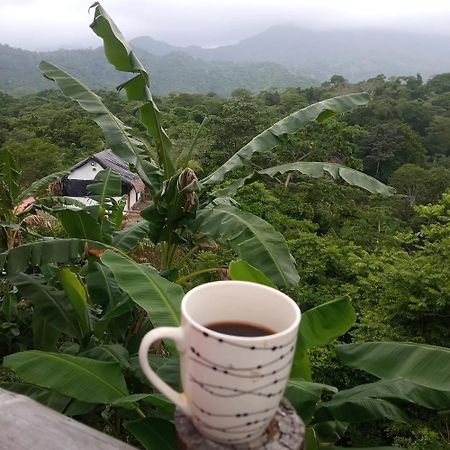 Hostal Mirador Dentro Del Parque Tayrona 엘 자이노 외부 사진