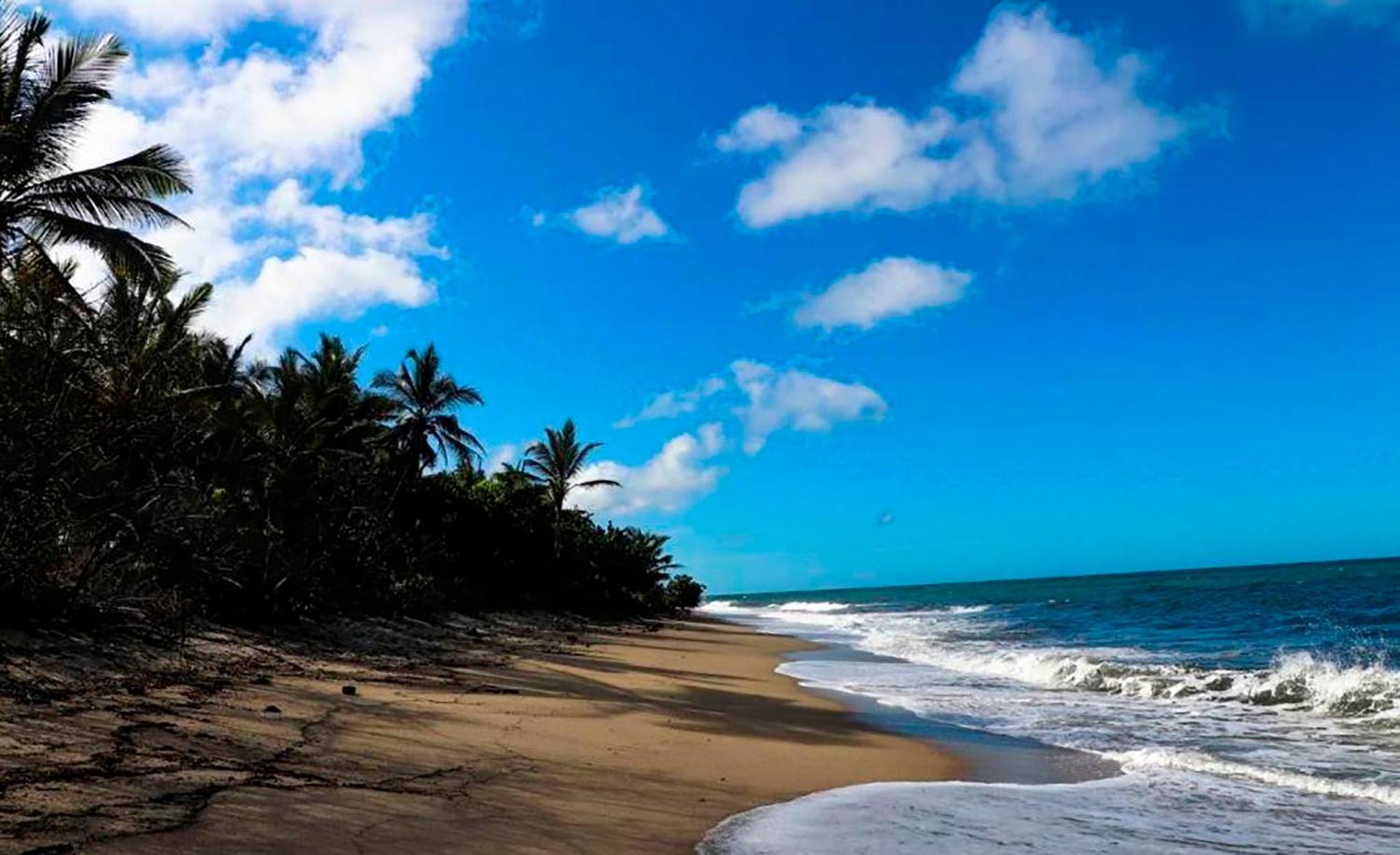 Hostal Mirador Dentro Del Parque Tayrona 엘 자이노 외부 사진