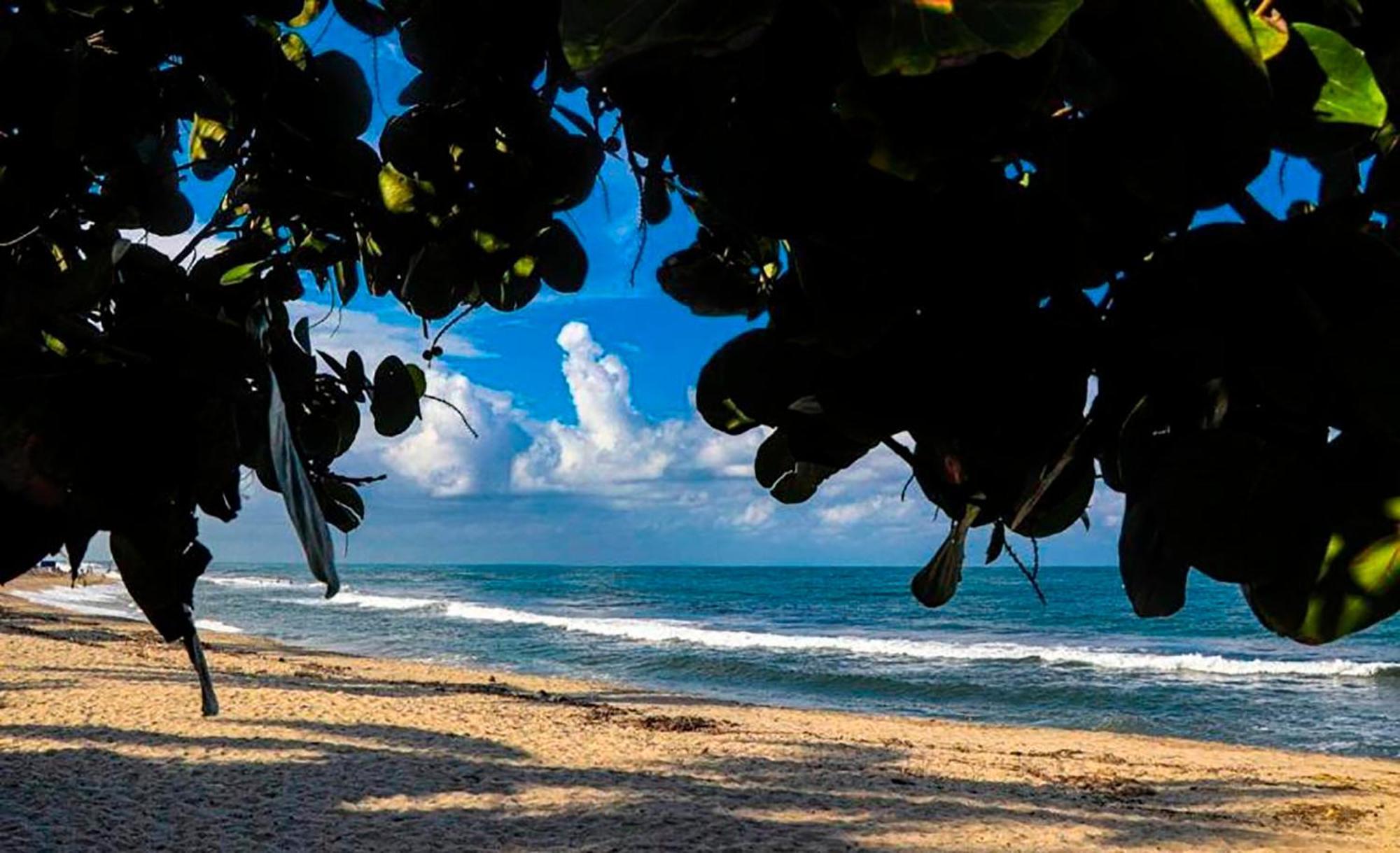 Hostal Mirador Dentro Del Parque Tayrona 엘 자이노 외부 사진