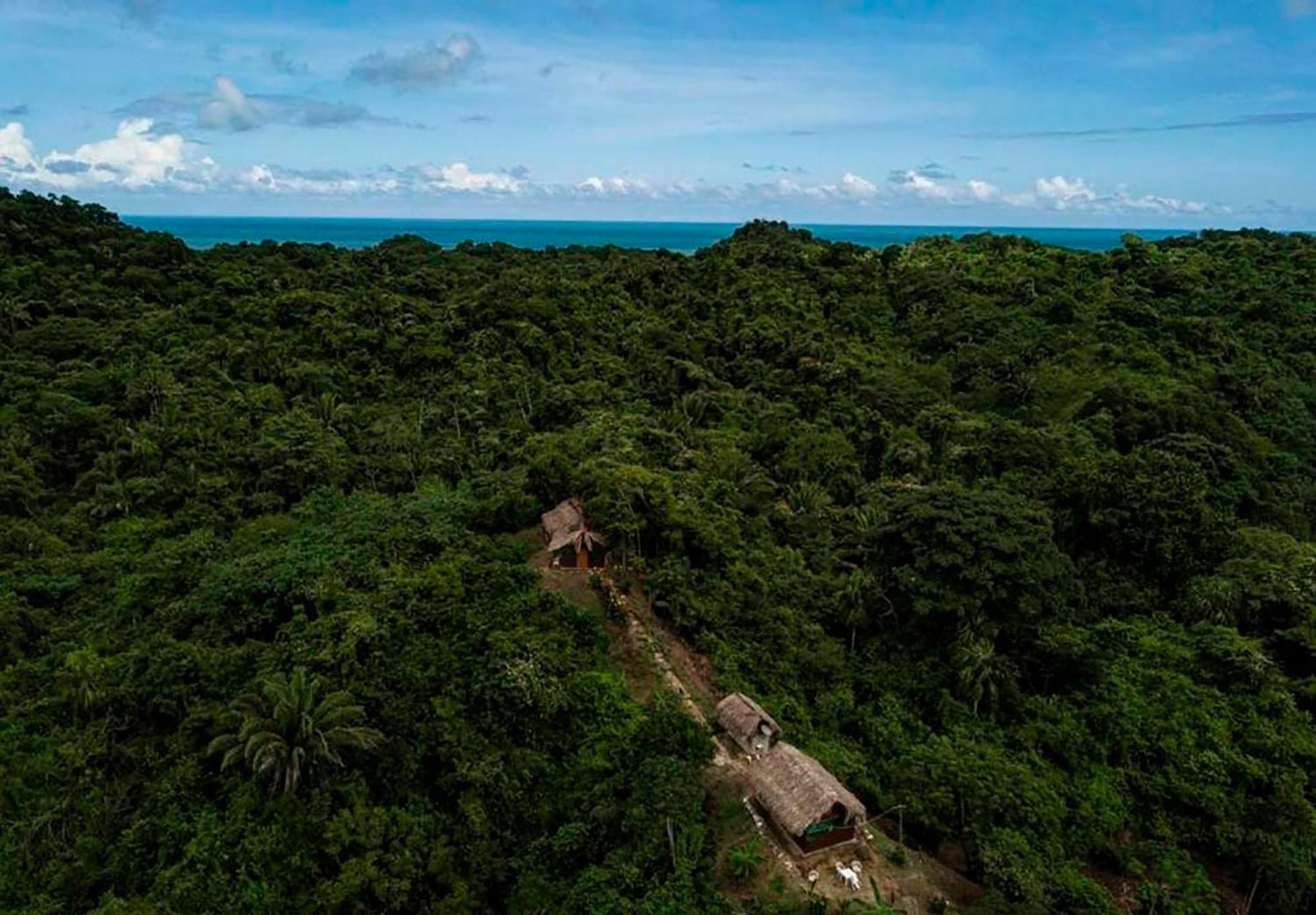Hostal Mirador Dentro Del Parque Tayrona 엘 자이노 외부 사진