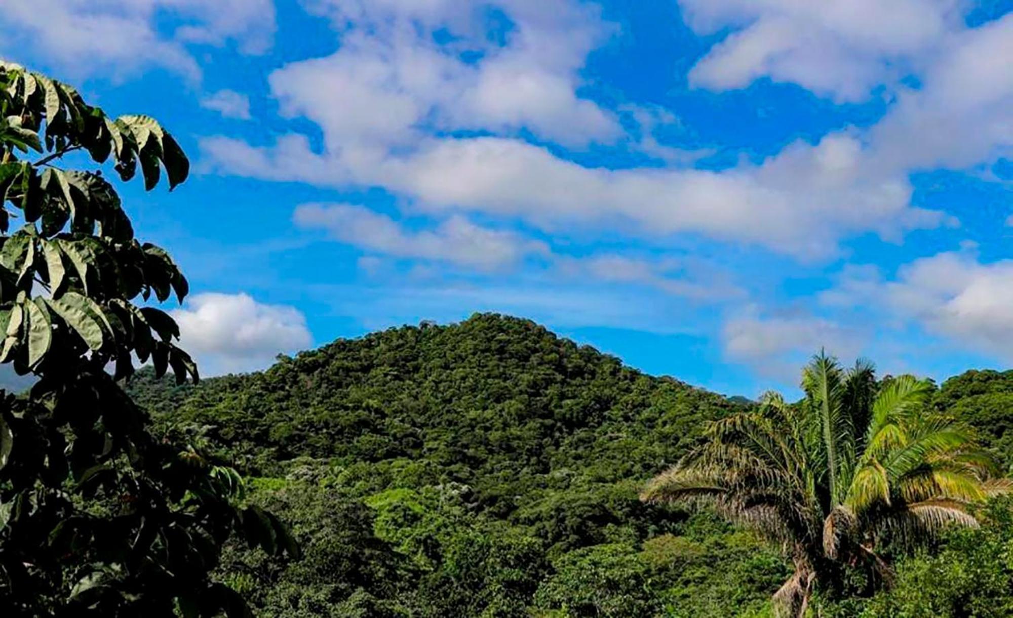Hostal Mirador Dentro Del Parque Tayrona 엘 자이노 외부 사진