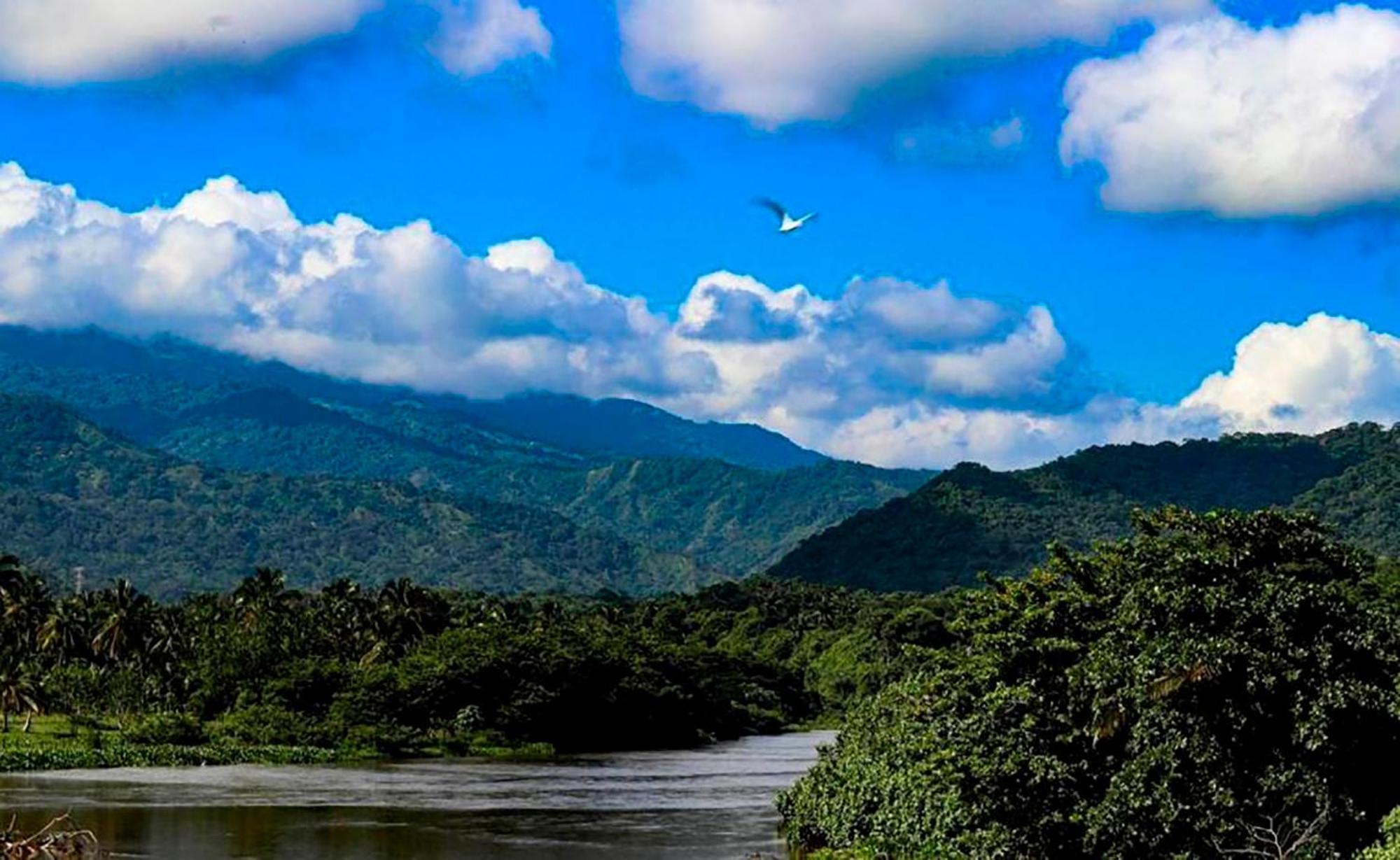 Hostal Mirador Dentro Del Parque Tayrona 엘 자이노 외부 사진