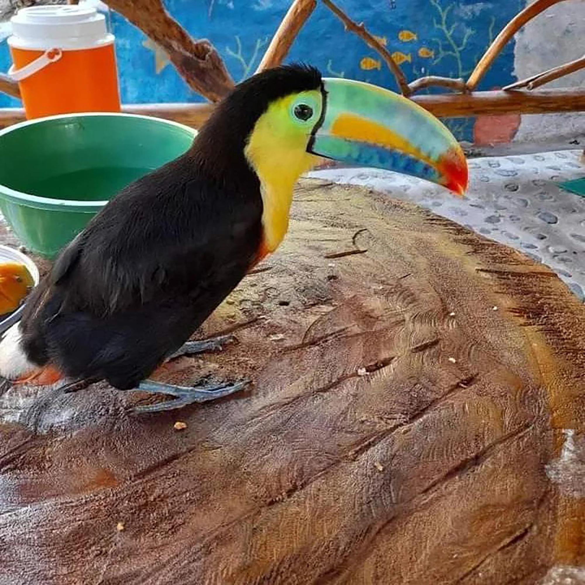 Hostal Mirador Dentro Del Parque Tayrona 엘 자이노 외부 사진