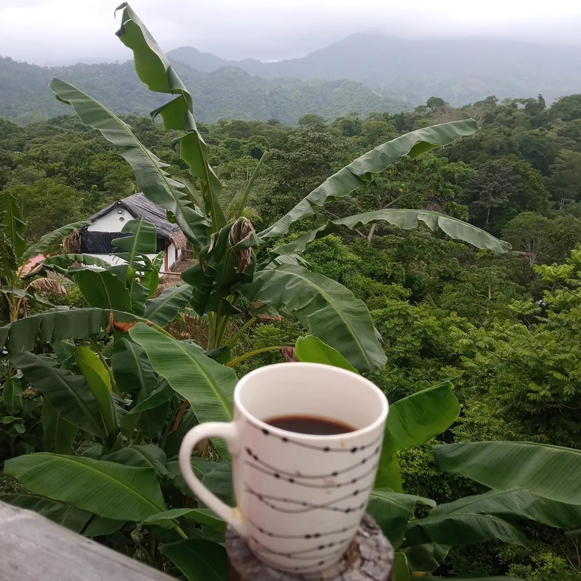 Hostal Mirador Dentro Del Parque Tayrona 엘 자이노 외부 사진
