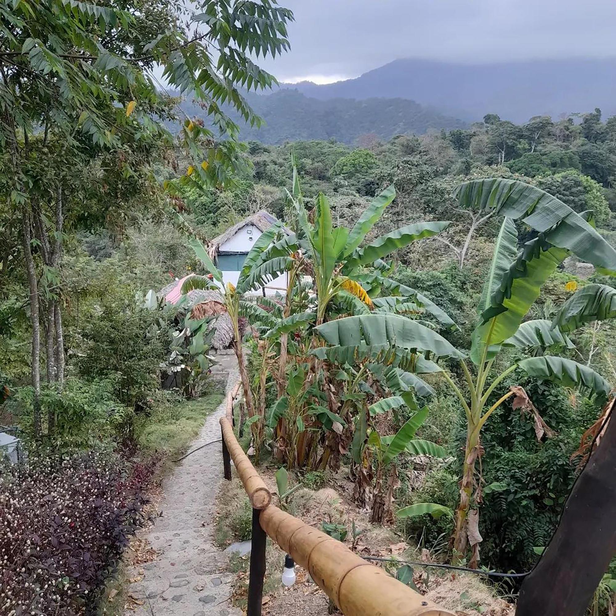 Hostal Mirador Dentro Del Parque Tayrona 엘 자이노 외부 사진