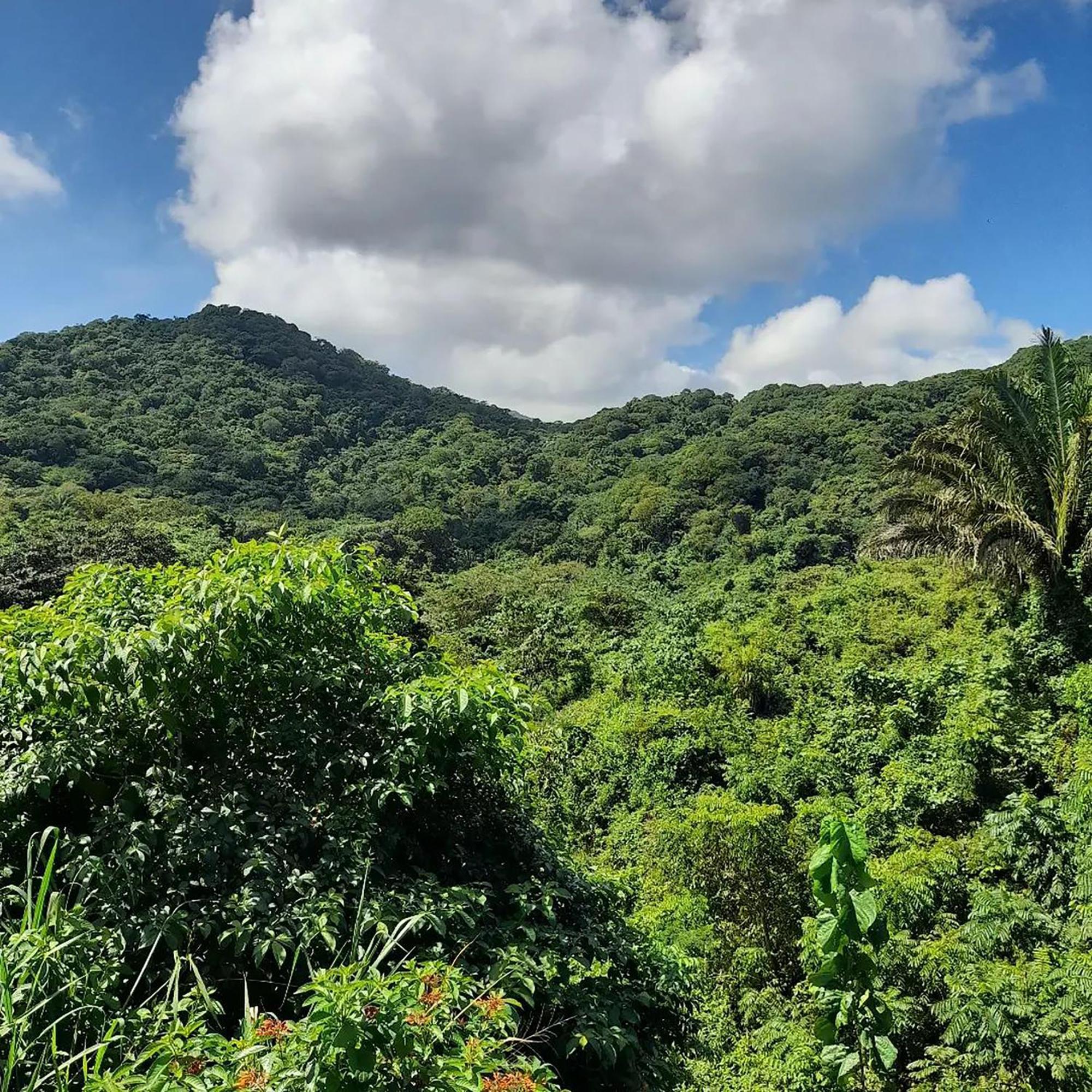 Hostal Mirador Dentro Del Parque Tayrona 엘 자이노 외부 사진