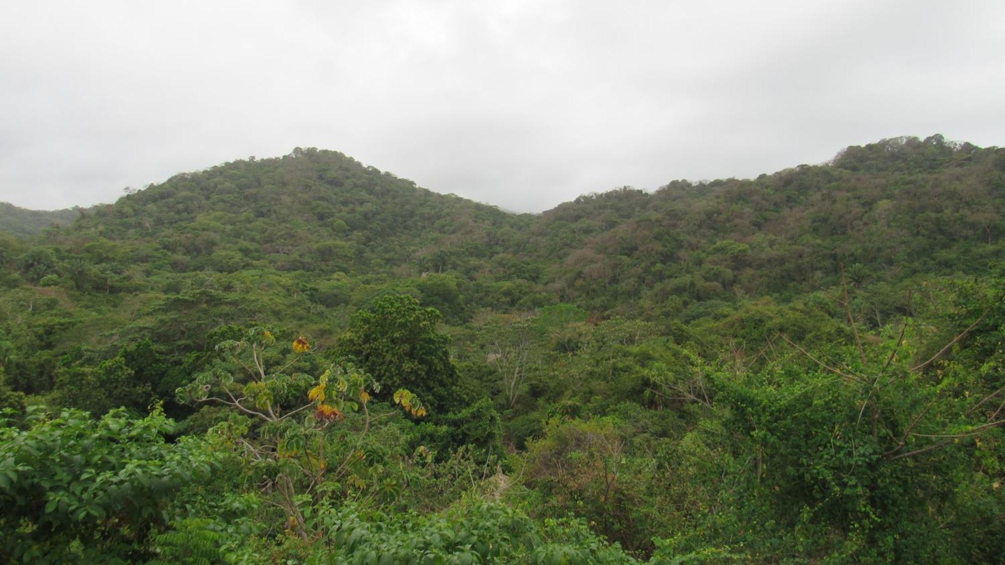 Hostal Mirador Dentro Del Parque Tayrona 엘 자이노 외부 사진