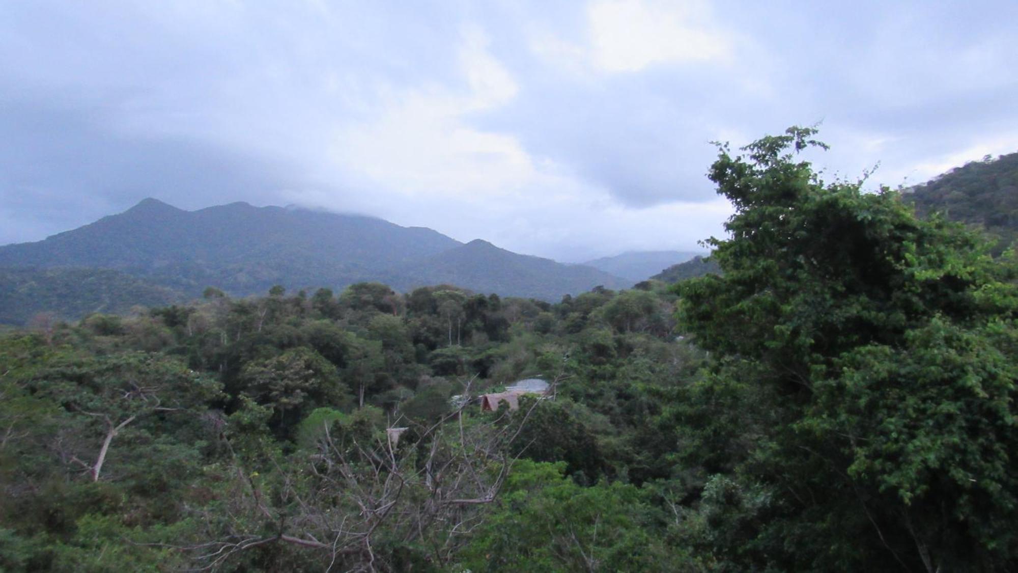Hostal Mirador Dentro Del Parque Tayrona 엘 자이노 외부 사진